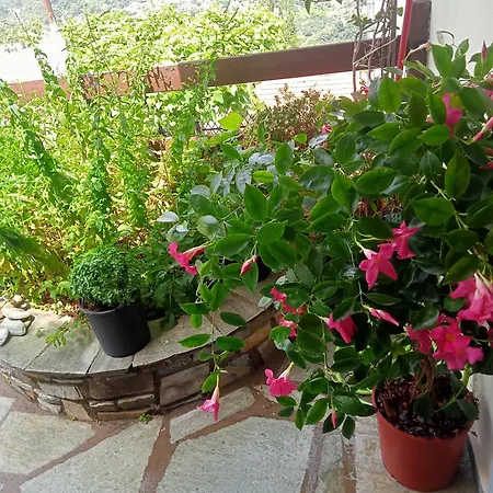Guesthouse Kallisti Anilio Pelion Exterior photo