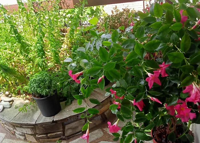 Guesthouse Kallisti