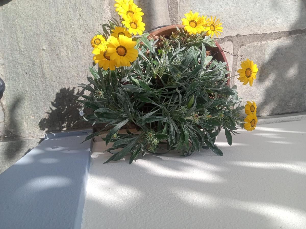 Apartment Kallisti Anilio Pelion