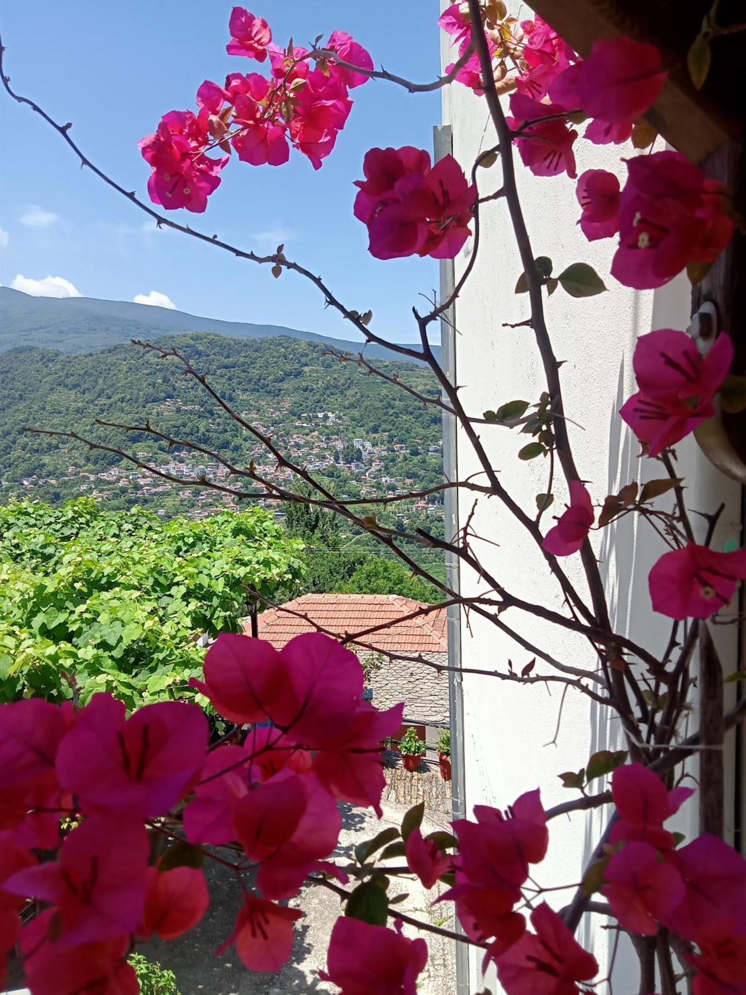 Kallisti * Anilio Pelion