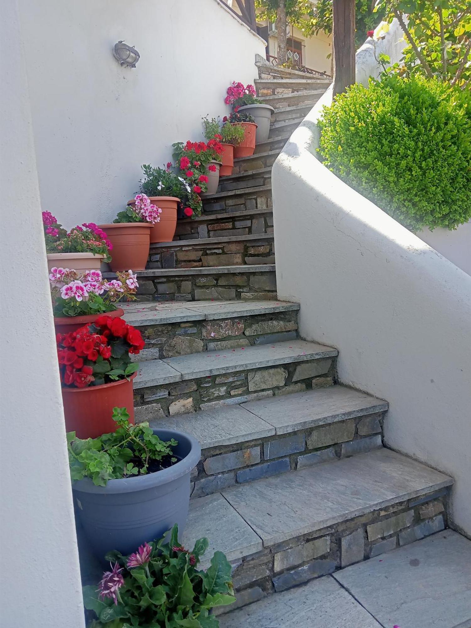 Apartment Kallisti Anilio Pelion