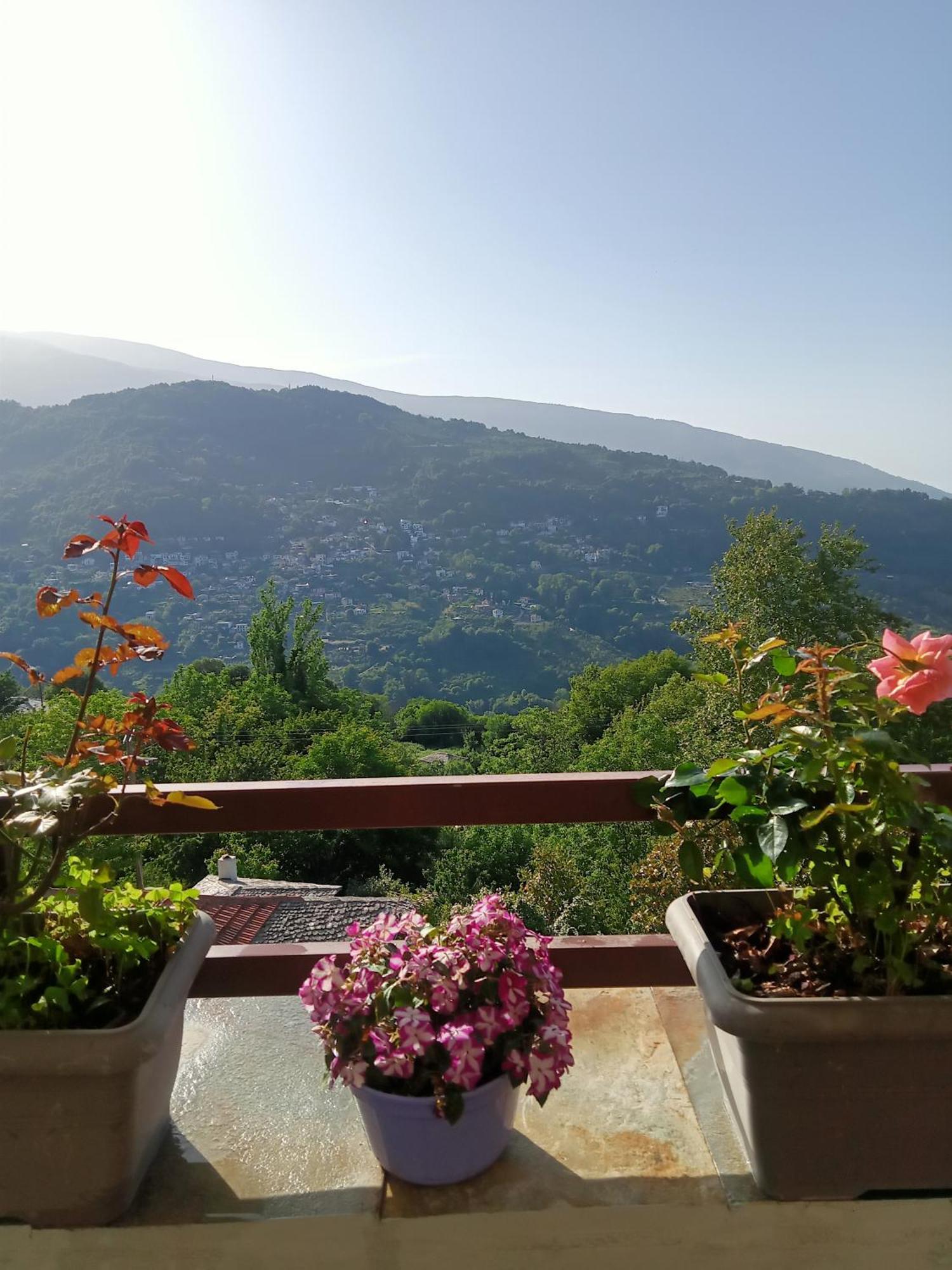 Apartment Kallisti