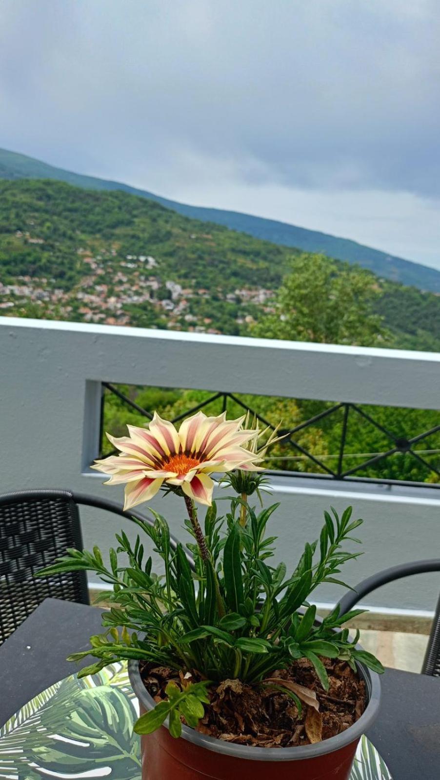 Kallisti Apartment *